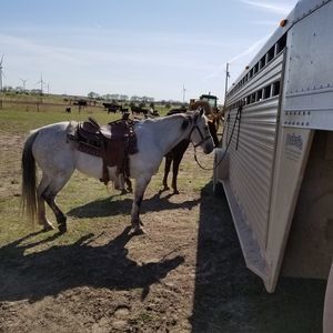 Meet your Posher, Al